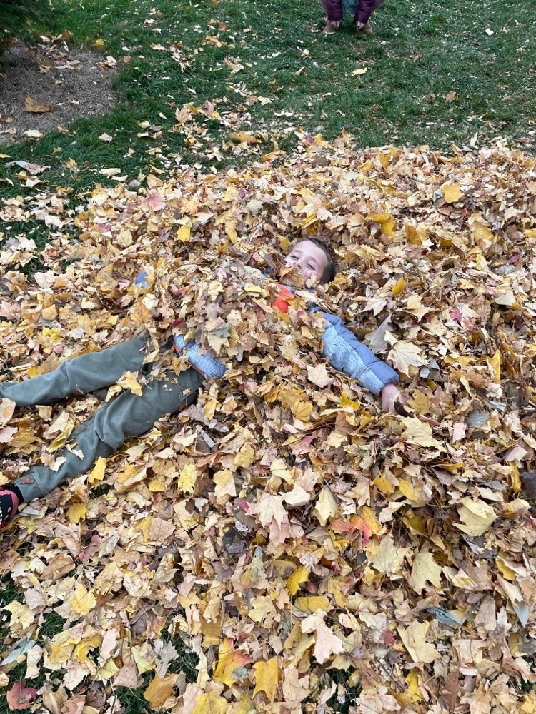 boy in leaves